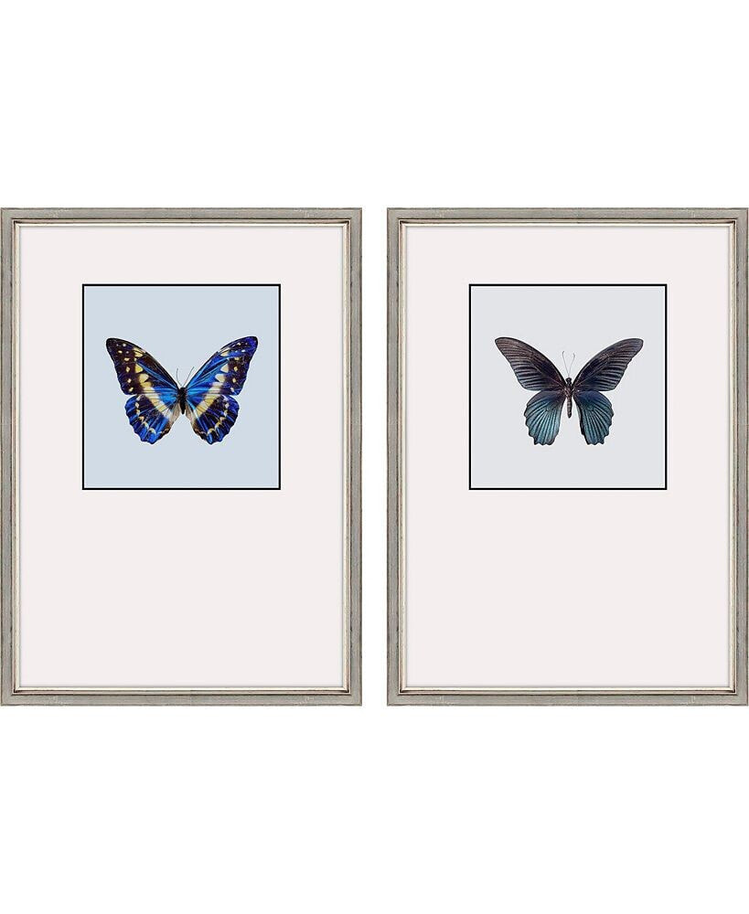 Paragon Picture Gallery great Butterfly II Framed Art, Set of 2