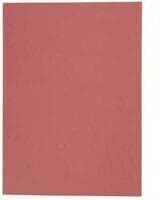 ELBA 100091655 - A4 - Cardboard - Red - 100 sheets - 250 g/m² - 230 mm