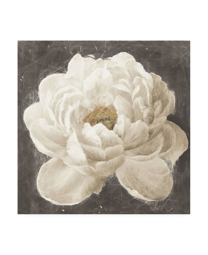 Trademark Global danhui Nai Vivid Floral I White Flower Canvas Art - 36.5