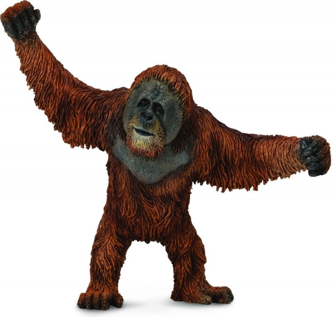 Figurki collected orangutan (004-88730)