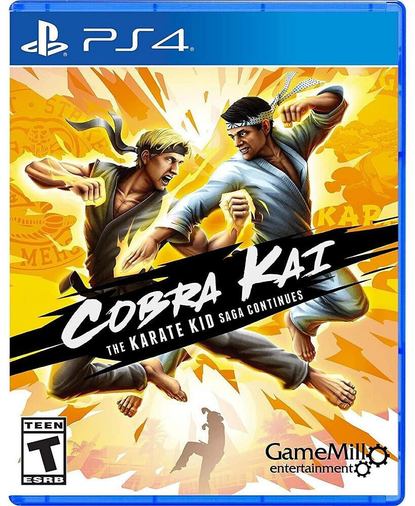 Sony cobra Kai - PlayStation 4