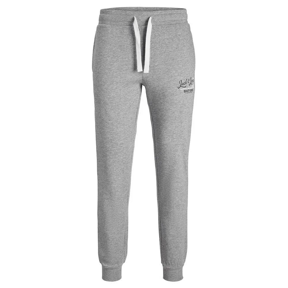 JACK & JONES Gordon Sweat Pants