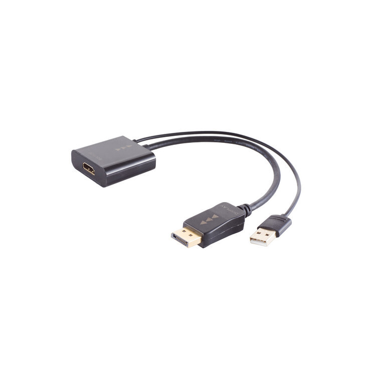 BS10-01011 - 0.3 m - HDMI Type A (Standard) - DisplayPort - Female - Male - Straight