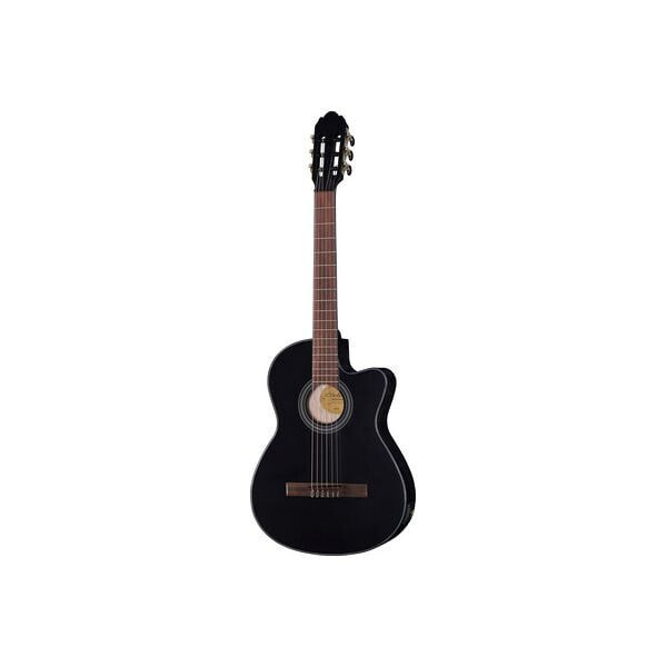 Gewa Student Cedar Black 4/ B-Stock