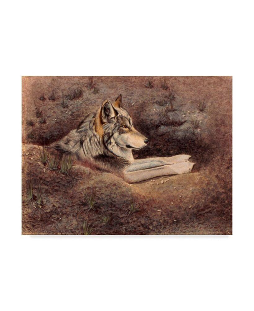 Trademark Global rusty Frentner 'Mexican Wolf' Canvas Art - 24