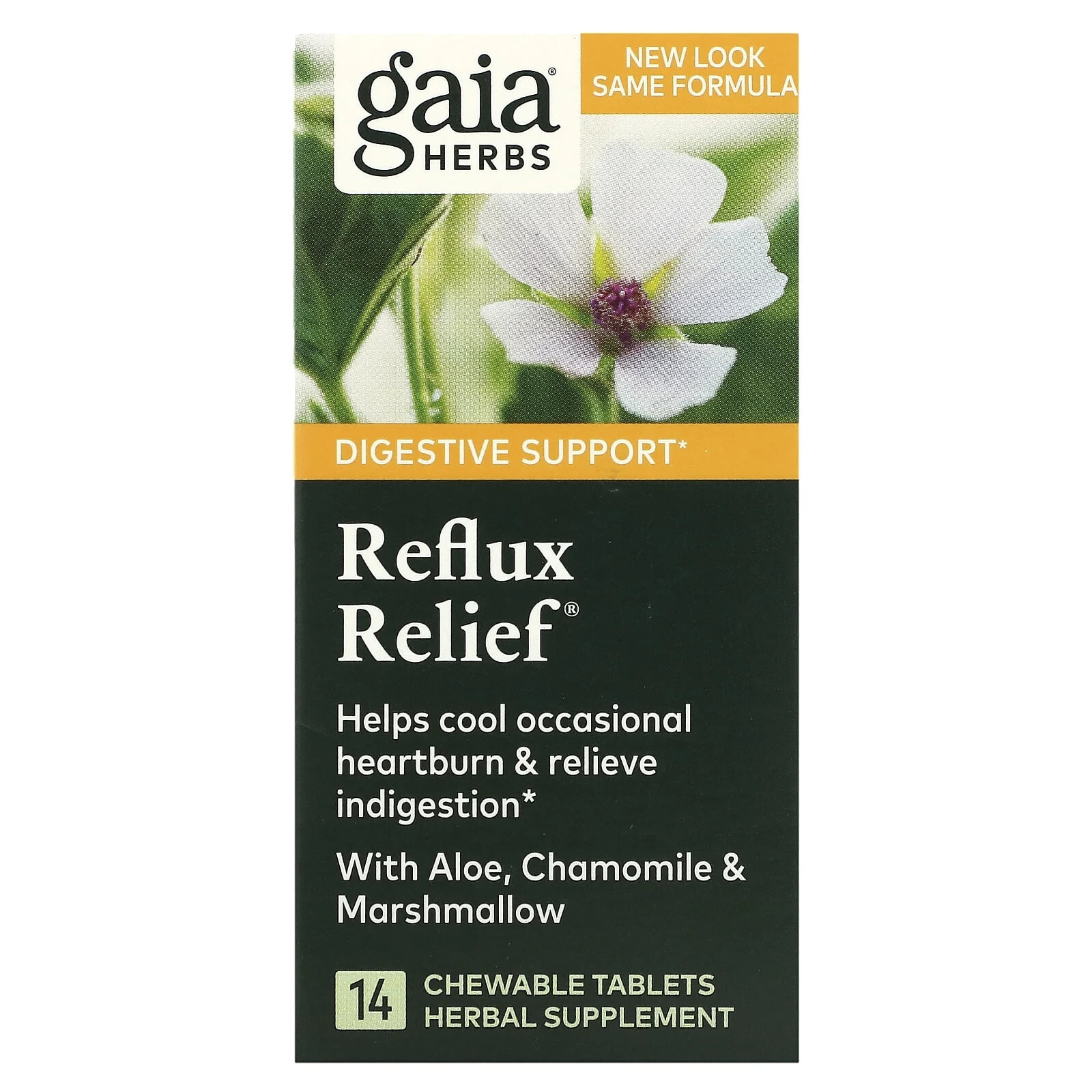 Gaia Herbs, Reflux Relief, 45 жевательных таблеток