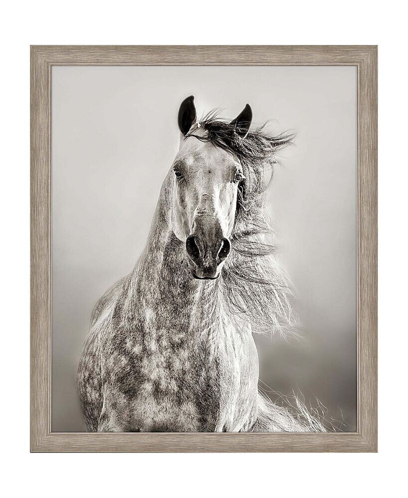 Paragon Picture Gallery caballo De Andaluz Framed Art