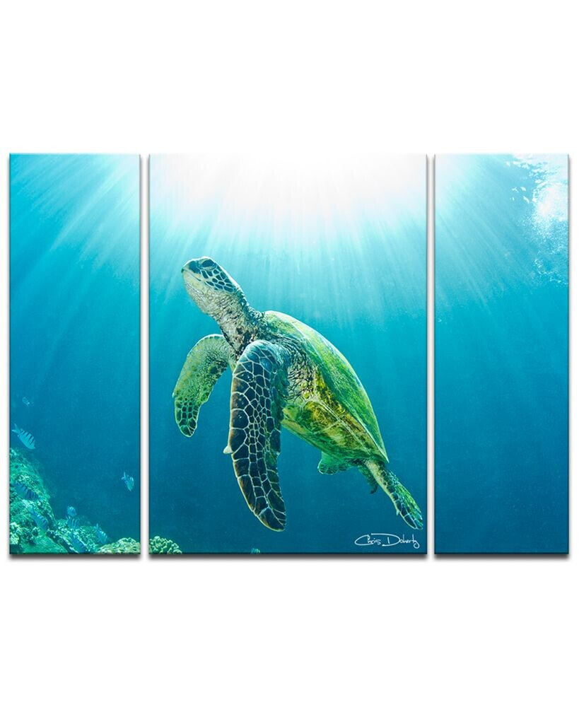 Ready2HangArt 'Sea Turtle' 3-Pc. Canvas Art Print Set