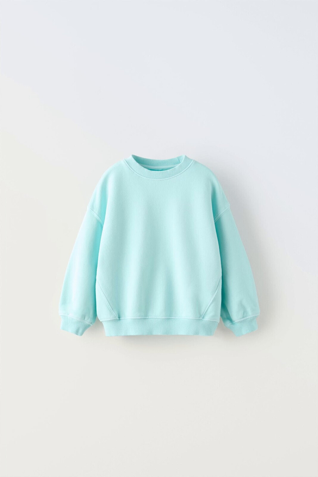 Garment-dyed embroidered sweatshirt