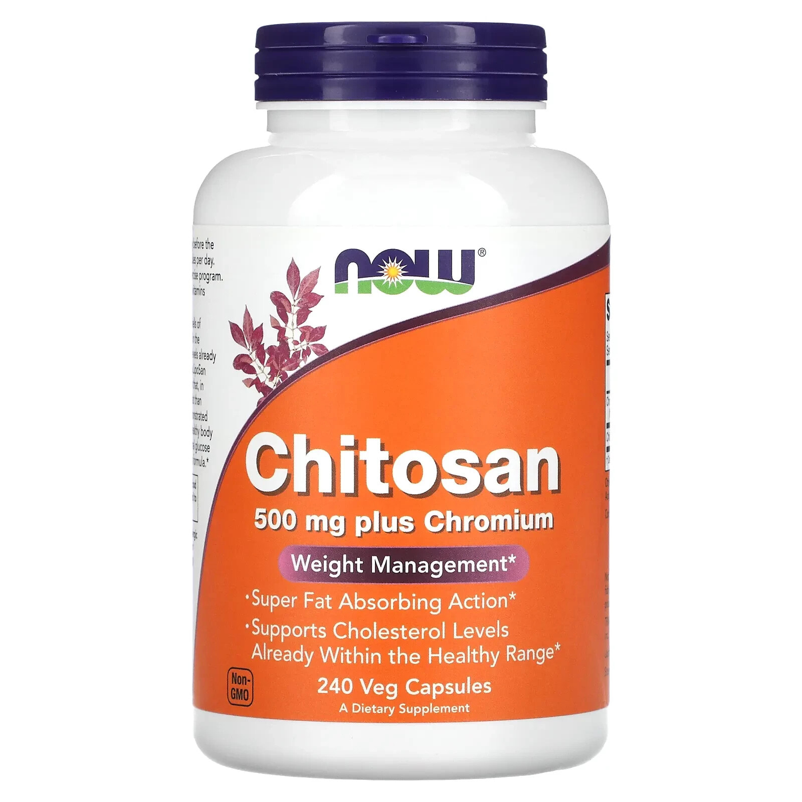 Chitosan Plus Chromium, 500 mg, 120 Veg Capsules
