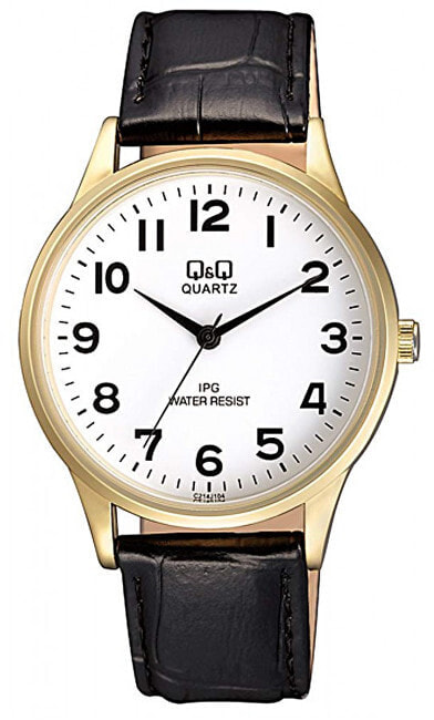 Мужские наручные часы с черным кожаным ремешком Q&Q C214J104