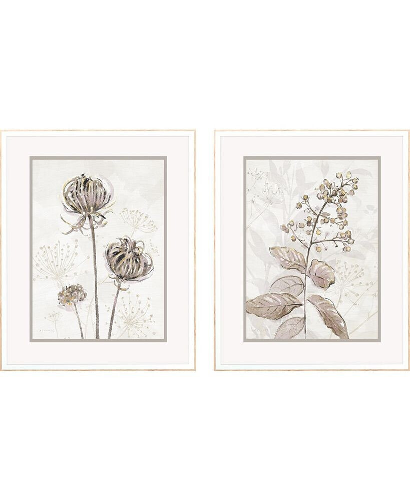 Paragon Picture Gallery dried Florals I Framed Art, Set of 2