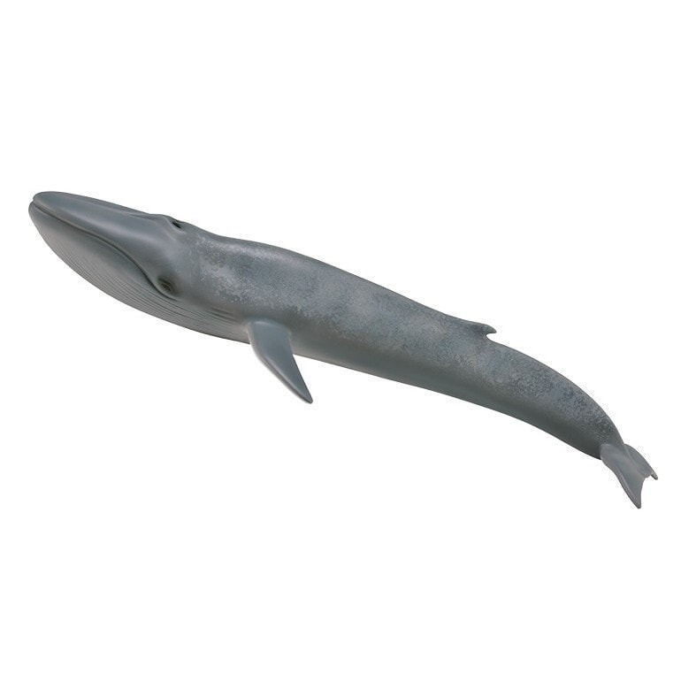 COLLECTA Blue Whale XL Figure