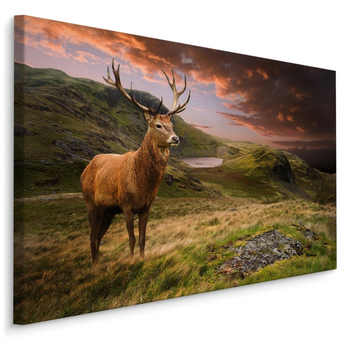 Leinwandbild HIRSCH Berge Landschaft 3D