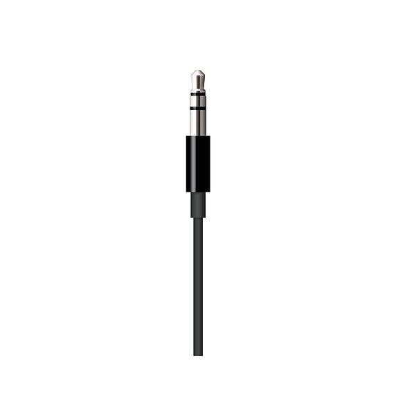 Apple cable Lightning to 3.5 mm headphone jack