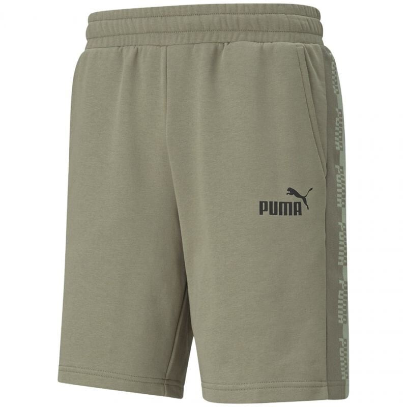 Мужские шорты спортивные серые PUMA AmpliIfied 73 1000 585786 shorts