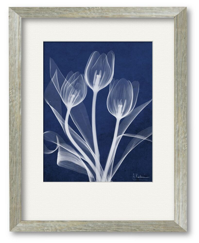 Courtside Market tulip Blueprint X-Ray 16