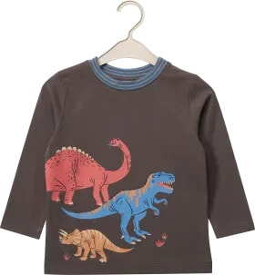 Langarmshirt Pro Climate mit Dino-Motiv, grau, Gr. 110, 1 St