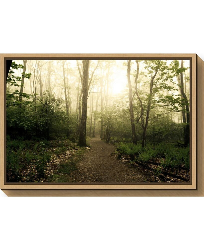 Amanti Art appalachian Trail by Andy Magee Canvas Framed Art