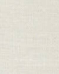 Basic linen napkin (pack of 2)