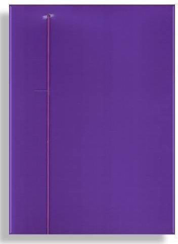 Penmate Folder with elastic A4 violet