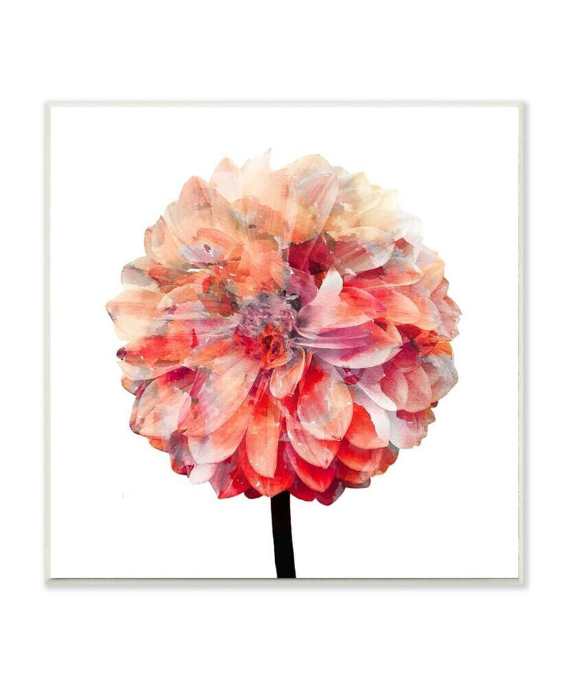 Stupell Industries bright Coral Watercolor Bloom Dahlia Flower Wall Plaque Art, 12
