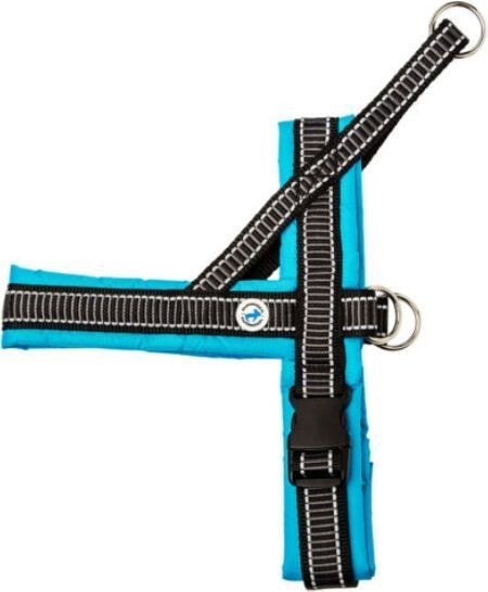 All For Dogs Norwegian dog harness 70 blue, 83-95cm