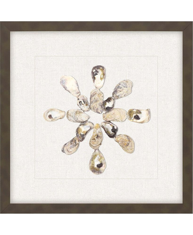 Paragon Picture Gallery oyster Shell I Framed Art