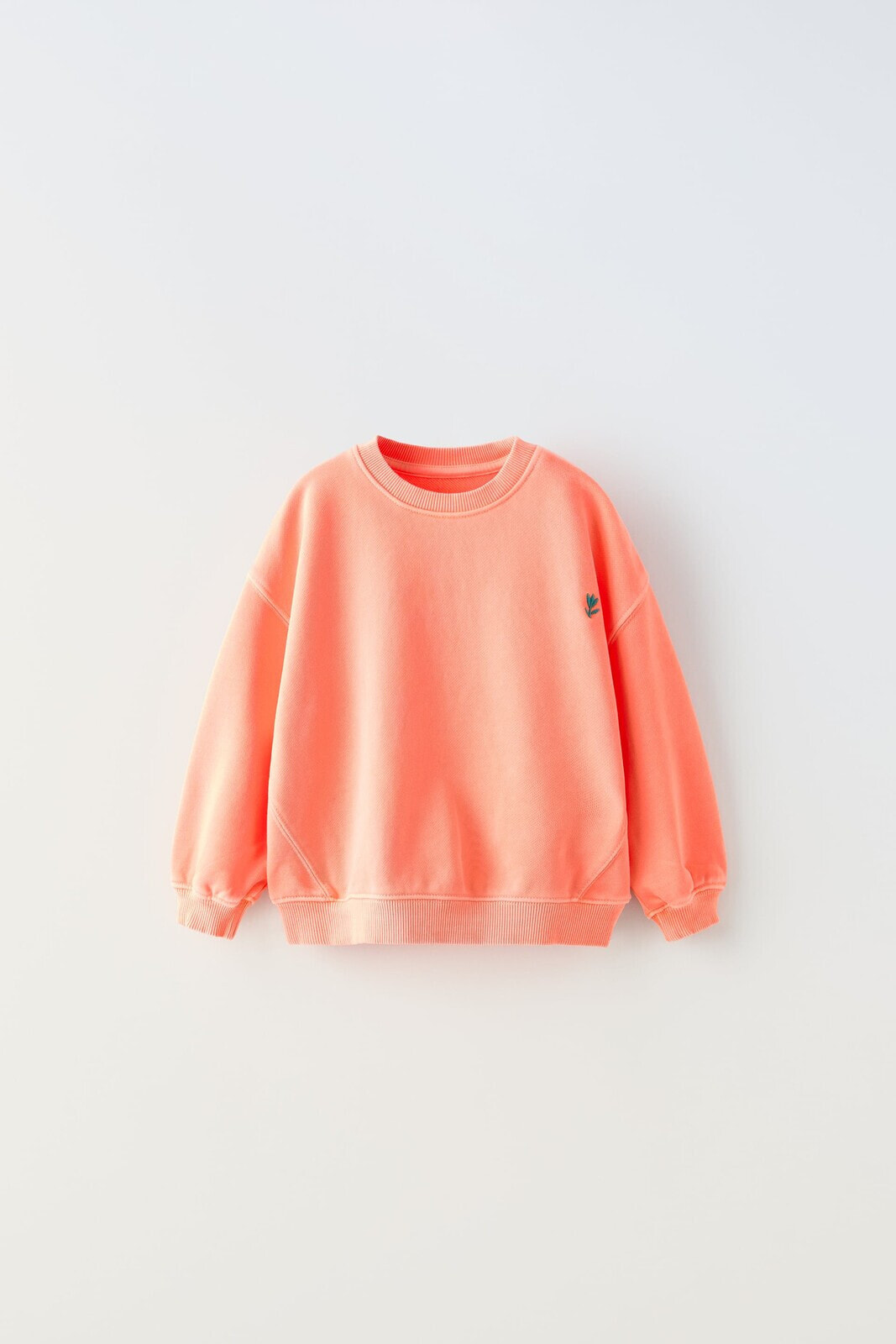 Garment-dyed embroidered sweatshirt