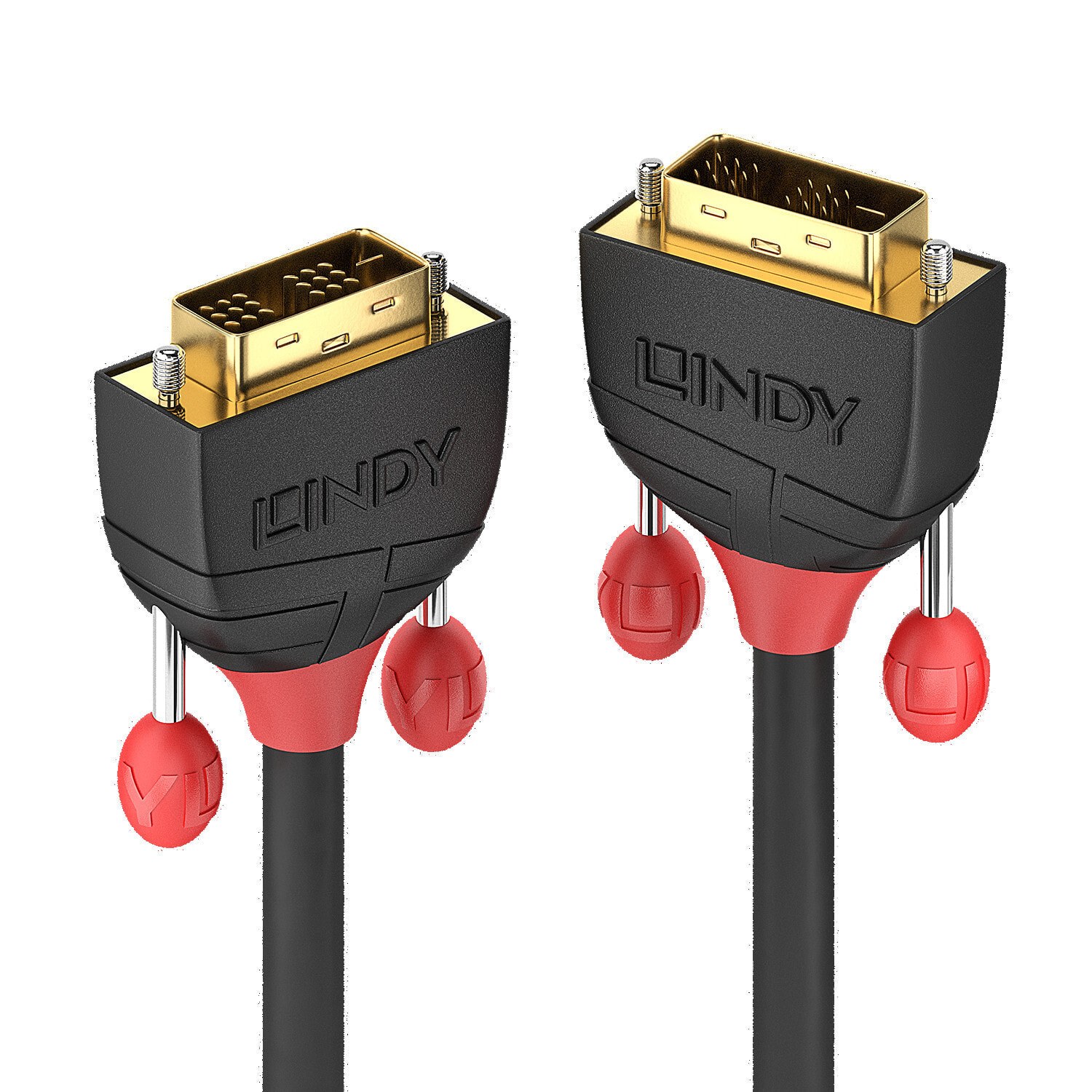 Lindy 36256 DVI кабель 2 m DVI-D Черный