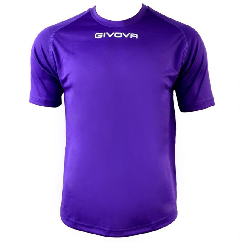 Мужская футболка спортивная фиолетовая с логотипом Givova One U MAC01-0014