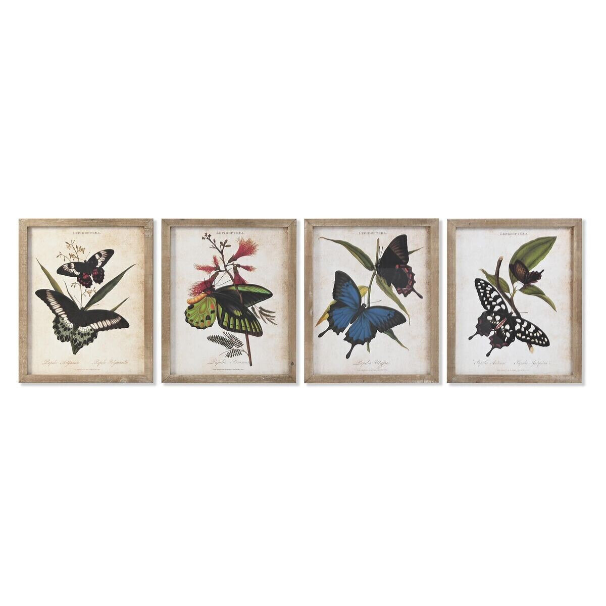 Painting DKD Home Decor Butterflies 40 x 2 x 50 cm Shabby Chic (4 Pieces)
