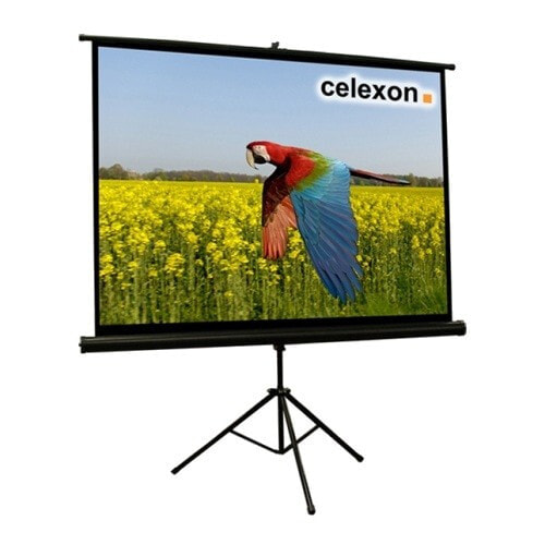 Celexon 1090258 проекционный экран 4:3