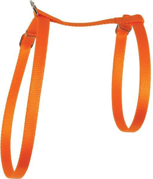 Zolux Cat harness 10 mm nylon orange
