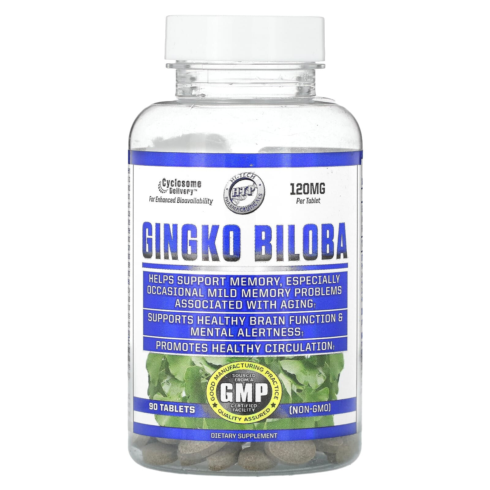 Gingko Biloba, 120 mg, 90 Tablets