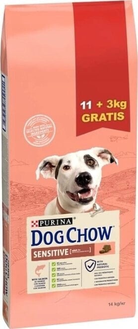 Purina Purina Dog Chow Sensitive Karma Dla Psa Łosoś 11+3kg