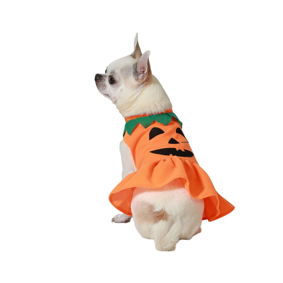 Dog Costume Pumpkin Size S