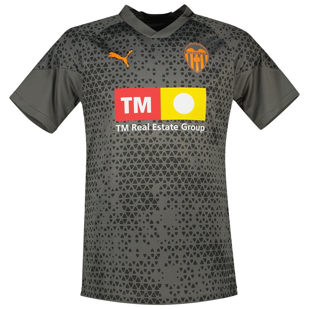 PUMA Valencia CF 23/24 Short Sleeve T-Shirt