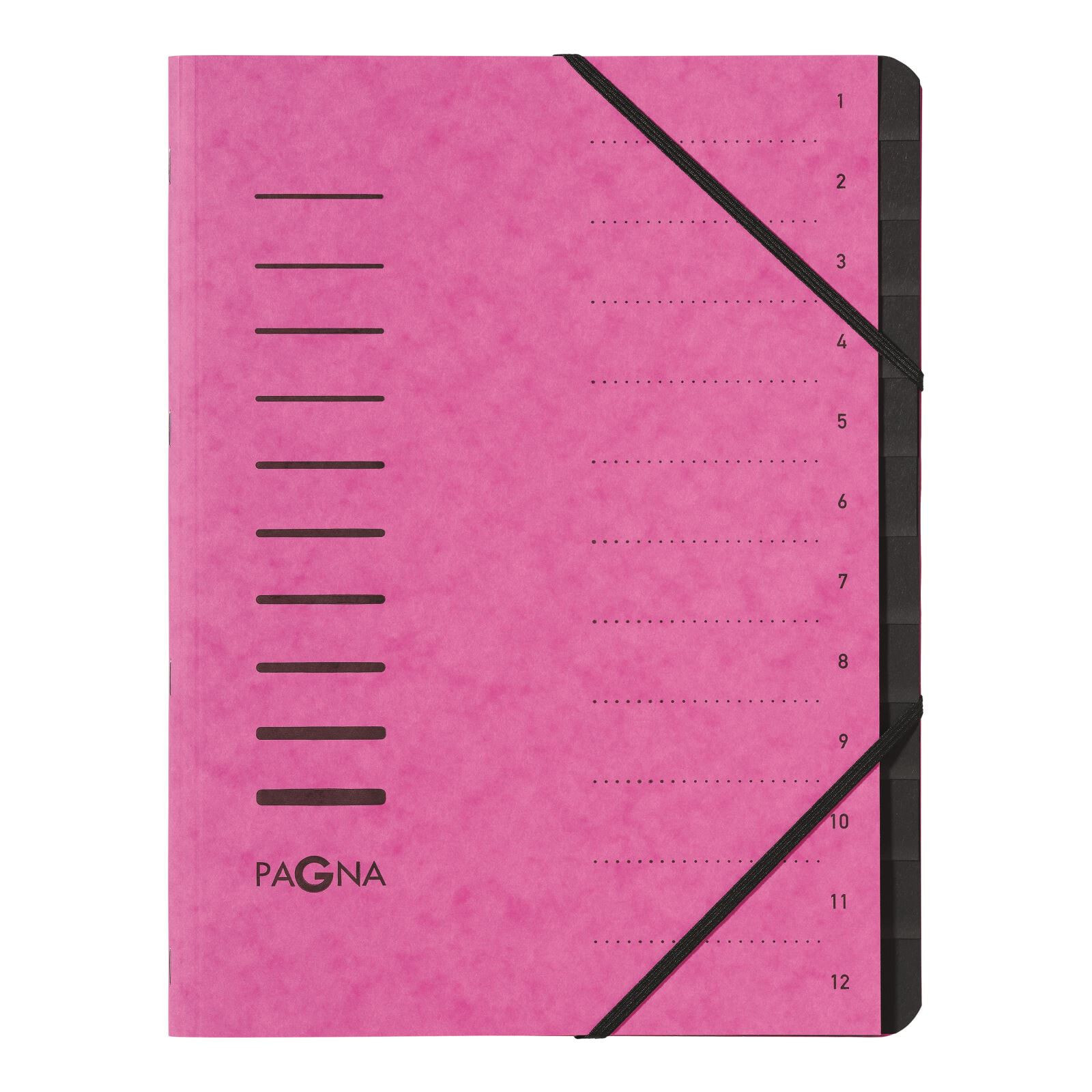 Pagna 40059-34 папка A4 Розовый