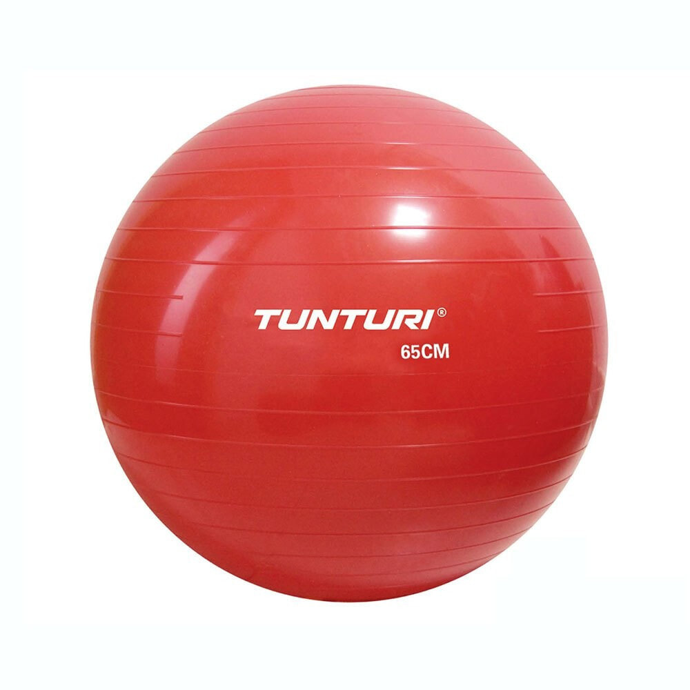 TUNTURI Gym Ball Fitball