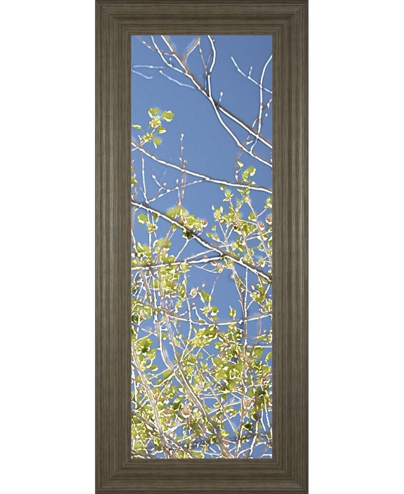 Classy Art spring Poplars IV by Sharon Chandler Framed Print Wall Art - 18