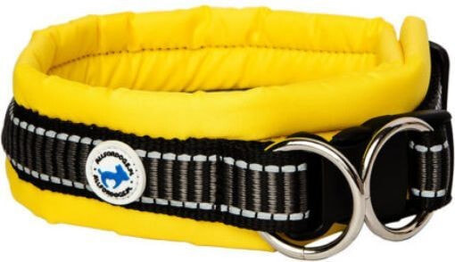 All For Dogs Yellow collar for dogs, size L (50-60cm)