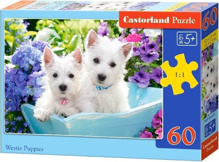 Castorland Puzzle Szczeniaki Westa 60 elementów (066100)