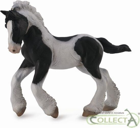 Figurka Collecta Koń rasy Tinker - Źrebię maści srokatej (004-88770)