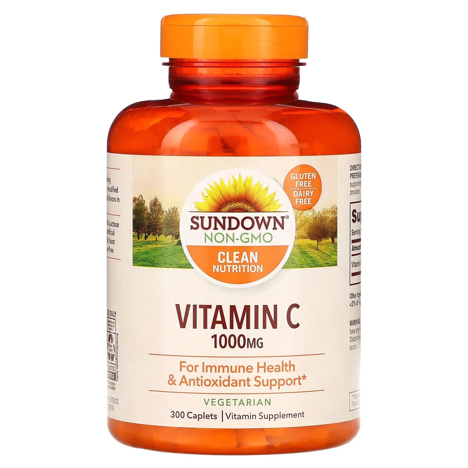 Sundown Naturals, Vitamin C, 1,000 mg, 300 Caplets