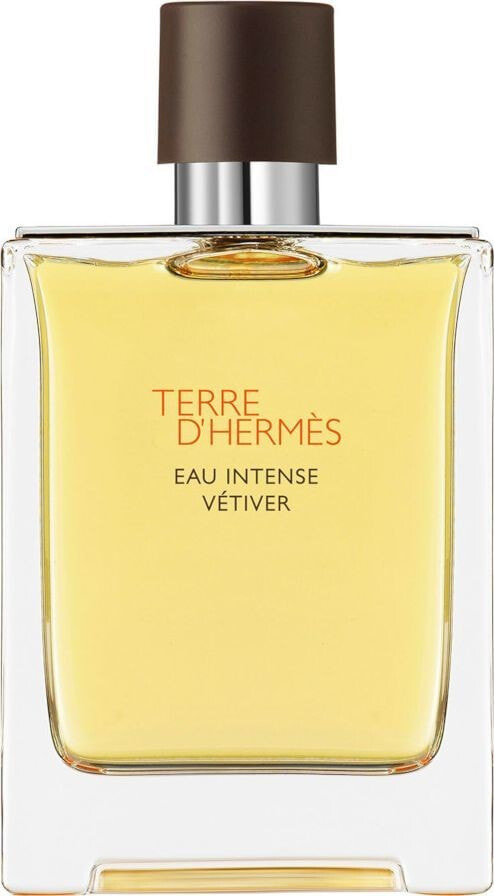 Мужская парфюмерия HERMÈS HERMES Terre Intense Vétiver 100ml