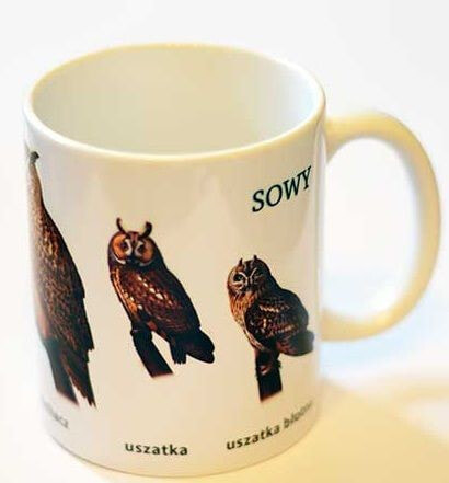 Soliton Owl Mug