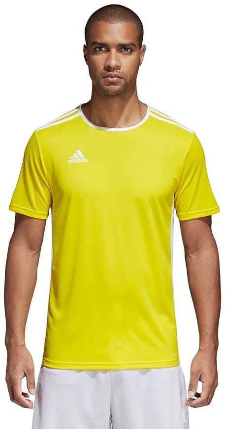 Мужская спортивная футболка Adidas Koszulka męska Entrada 18 czerwona r. XXL (CF1038)