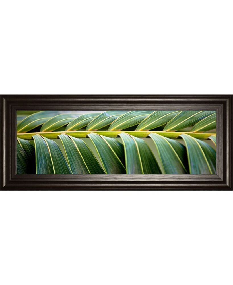 Classy Art palma I by Susan Bryant Framed Print Wall Art - 18