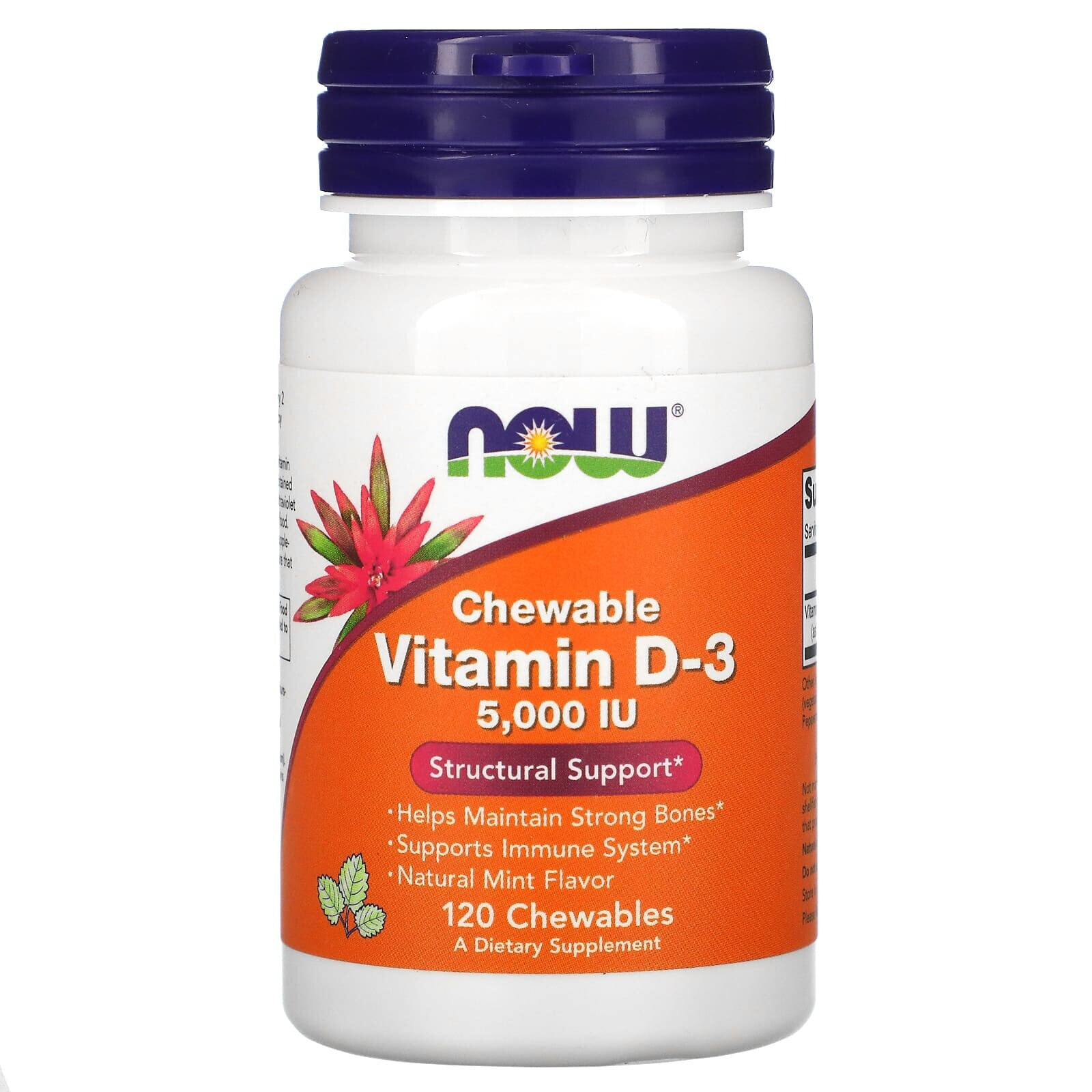 NOW Chewable Vitamin D-3 Natural Mint -- 5000 IU - 120 Chewables